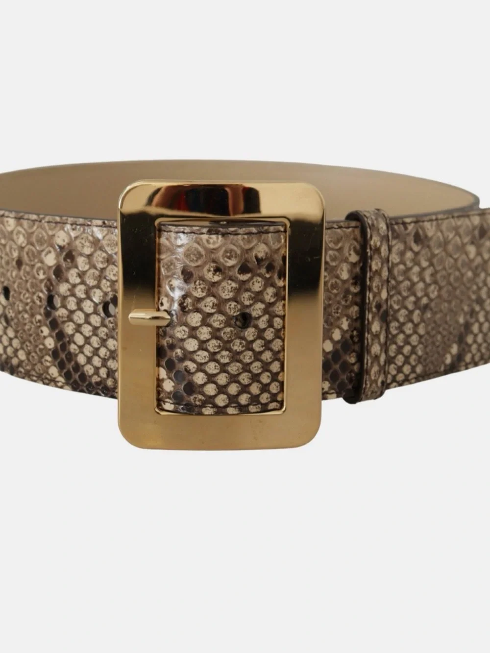 Dolce & Gabbana Exclusive Exotic Wide Waist Python Leather Belt 65cm